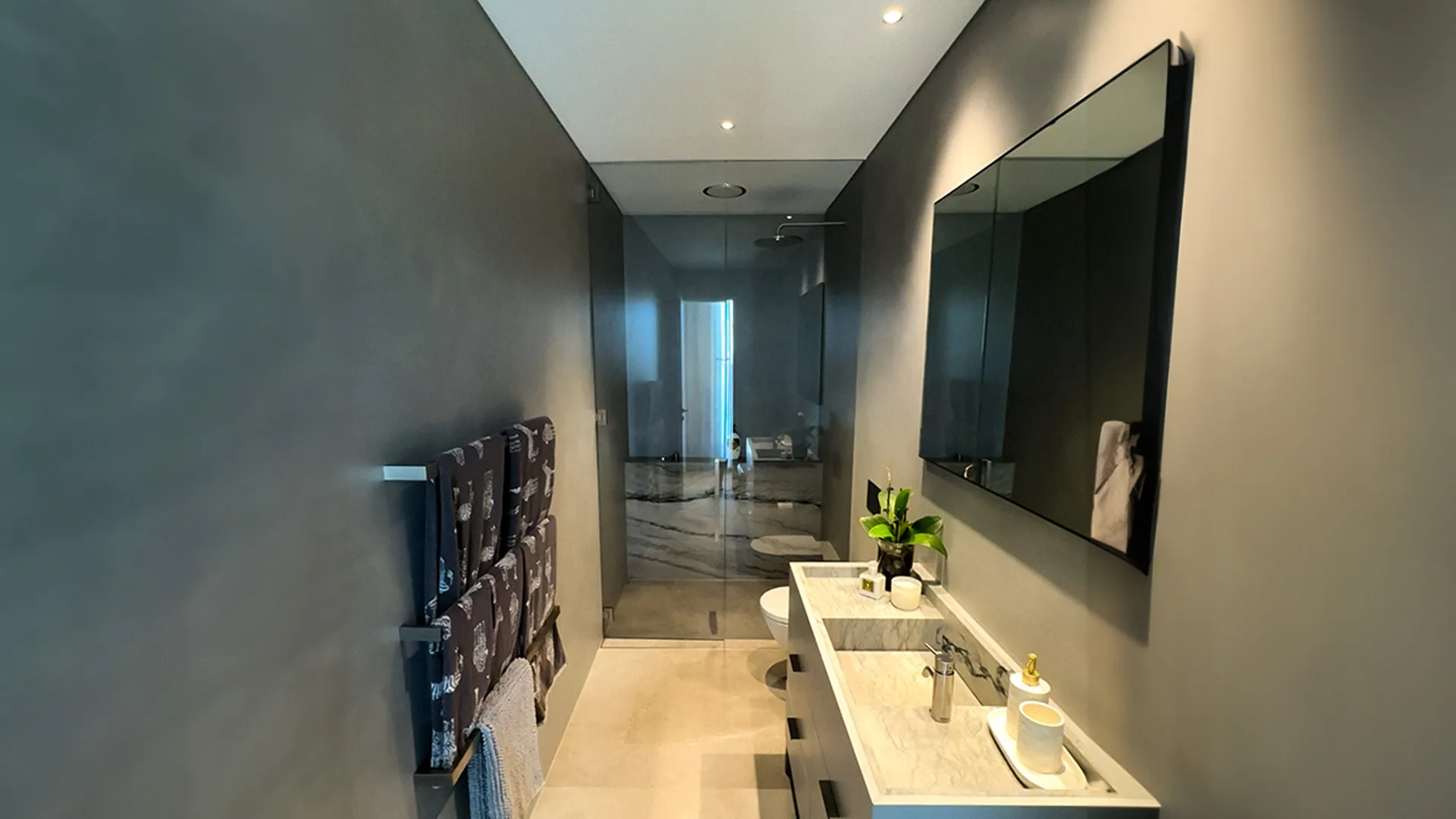 Chamberlain Avenue, Rose Bay - microcement bathroom